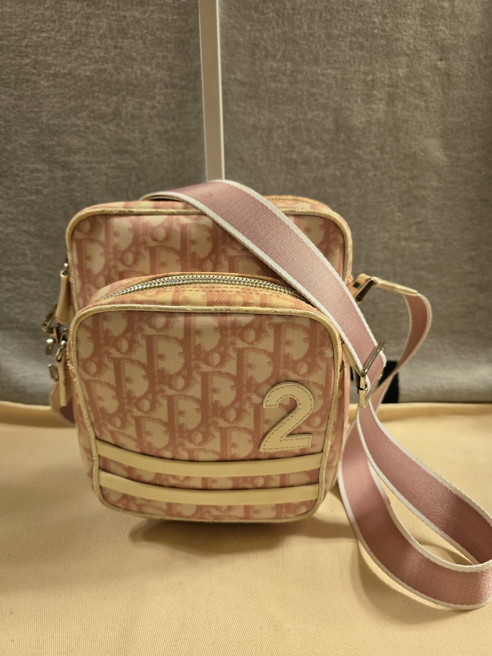 Dior Pink Monogram Trotter No. 2 Crossbody Bag